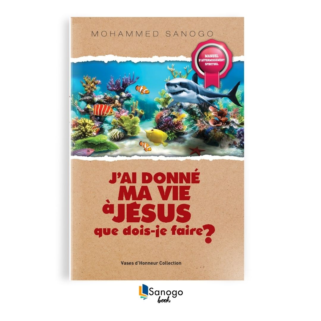 J'AI DONNÉ MA VIE À JÉSUS- QUE DOIS-JE FAIRE ? - MOHAMMED SANOGO (Version Française)
